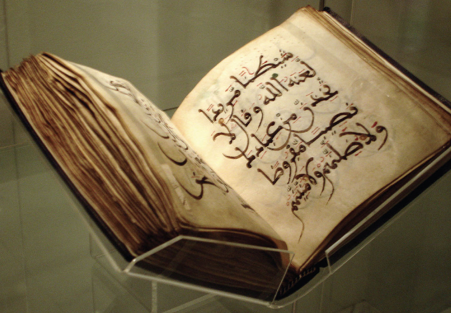 Picture of a book, held open in a museum display case, featuring Arabic script