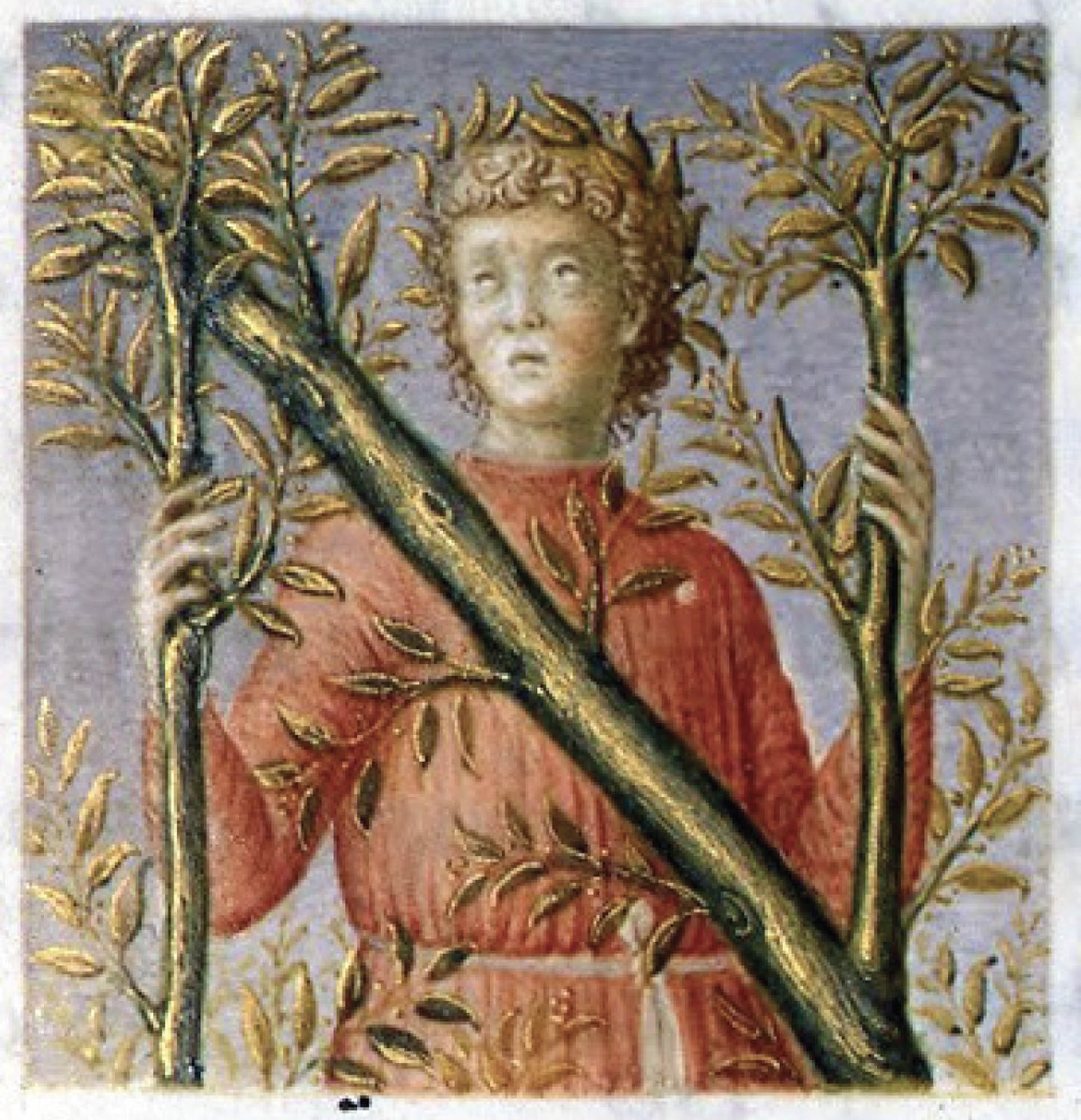 Portrait of a young-looking person standing amongst tall branches with golden leaves hanging off of them.