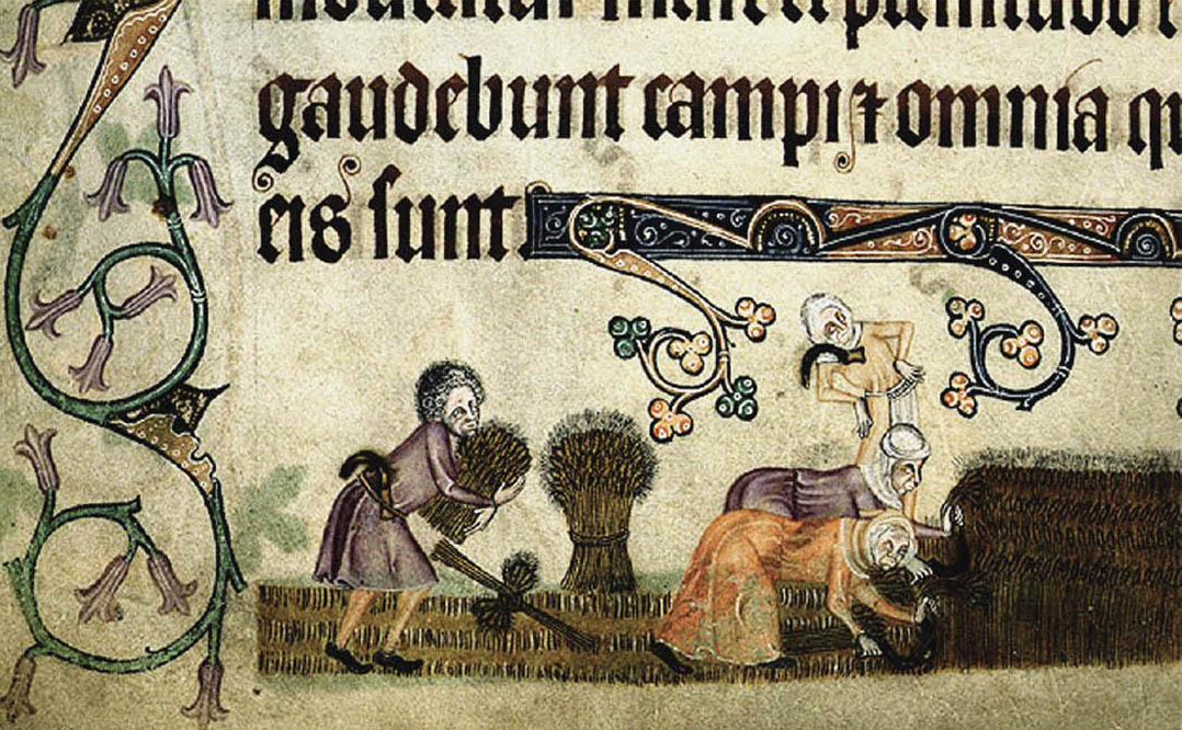 A drawing, beneath a body of text, of a woman bending over to harvest grain alongside a man and two other people.