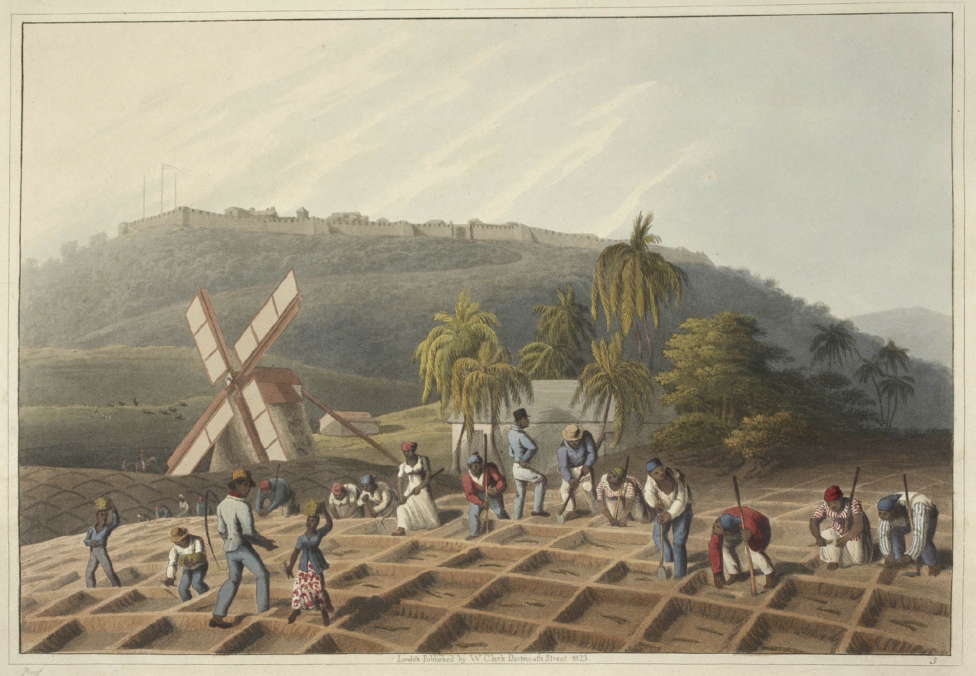 Painting of many enslaved people working on farmland that has been divided into a grid. Behind them are palm trees and a large windmill.