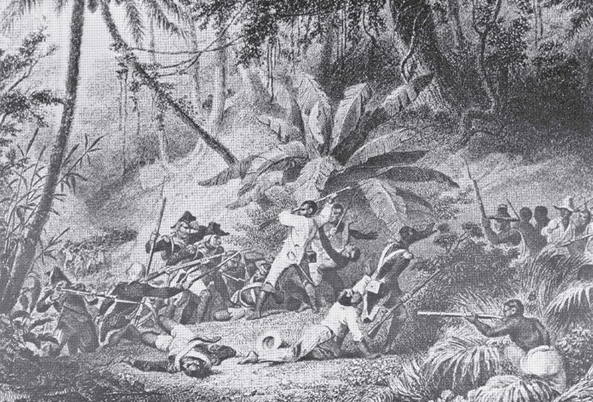 A battle scene taking place in a jungle-like wilderness.