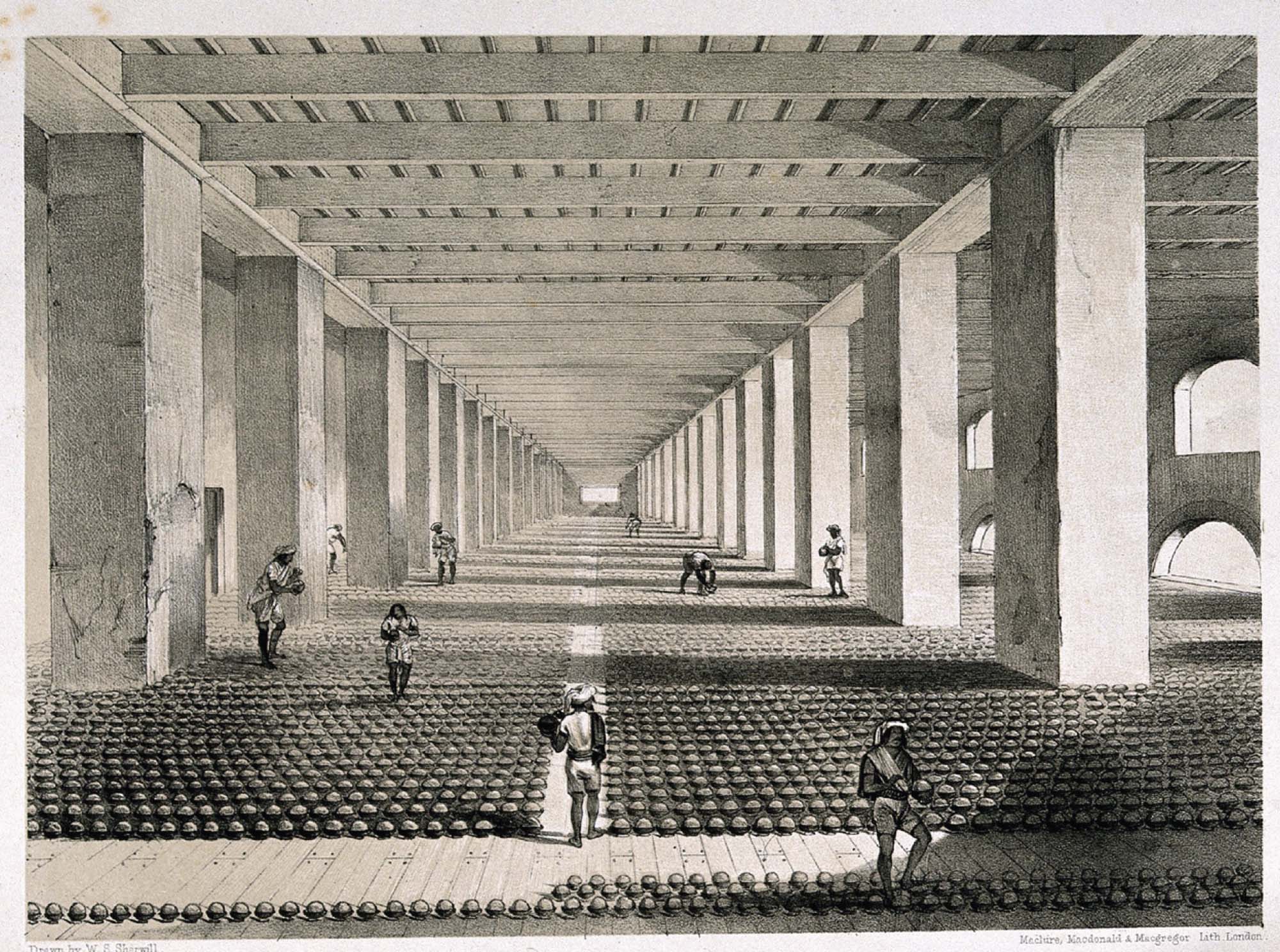 An illustration of a vast and busy drying room in a British opium factory in Patna, India.  