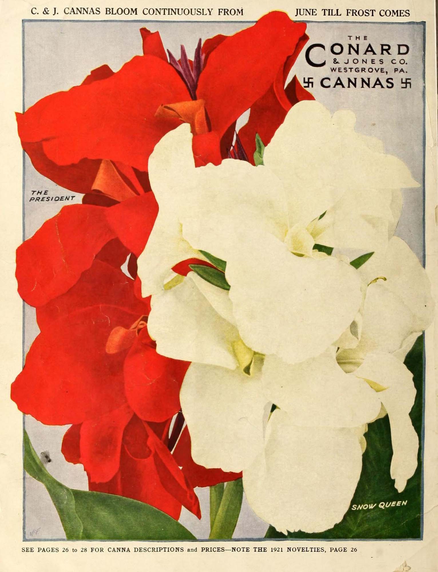 Colorful poster advertisement for American roses.