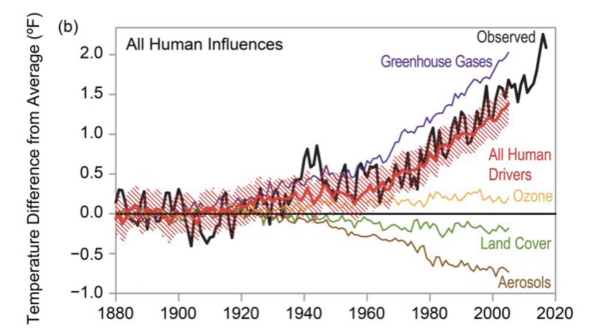 A graph shows the varying human influences and their effect on the global temperature. Land cover and aerosols have had a lessened impact on the global temperature over the last century, and greenhouse gases have had an exponentially increasing impact.