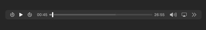 Screenshot of the audio playback bar.