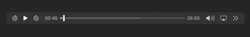 Screenshot of the audio playback bar.