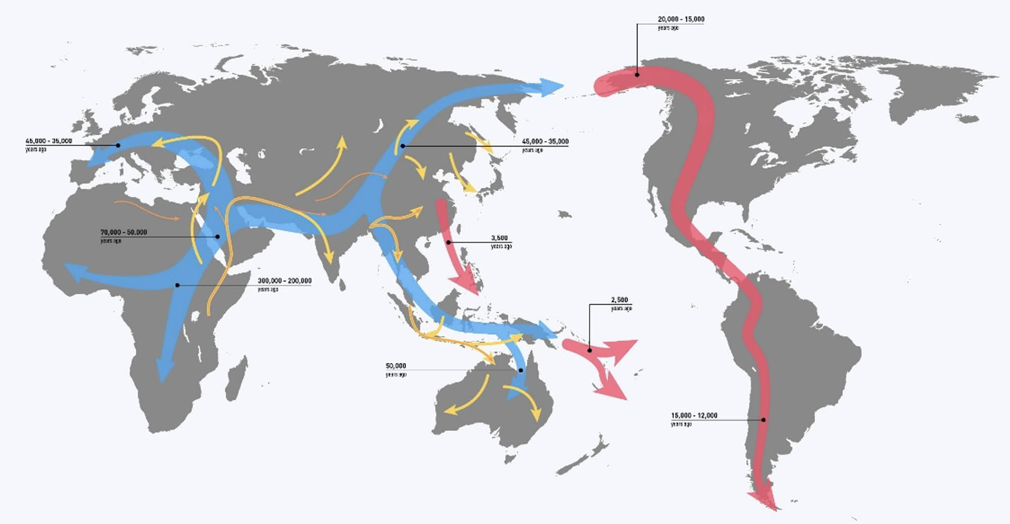 A map of the world with red and blue arrows showing human migration routes.