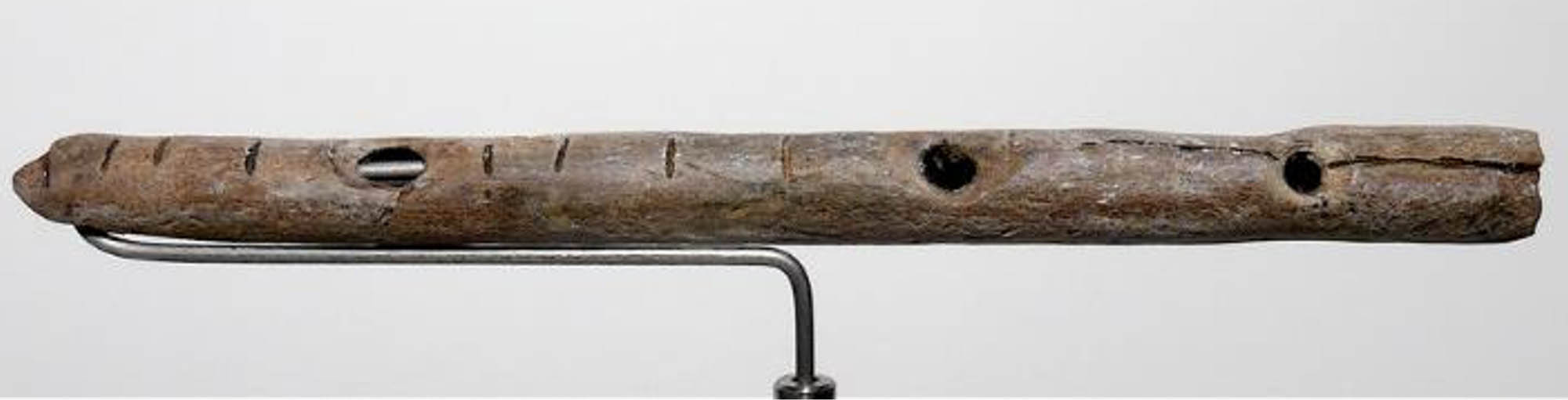 A Paleolithic flute made of vulture bone.