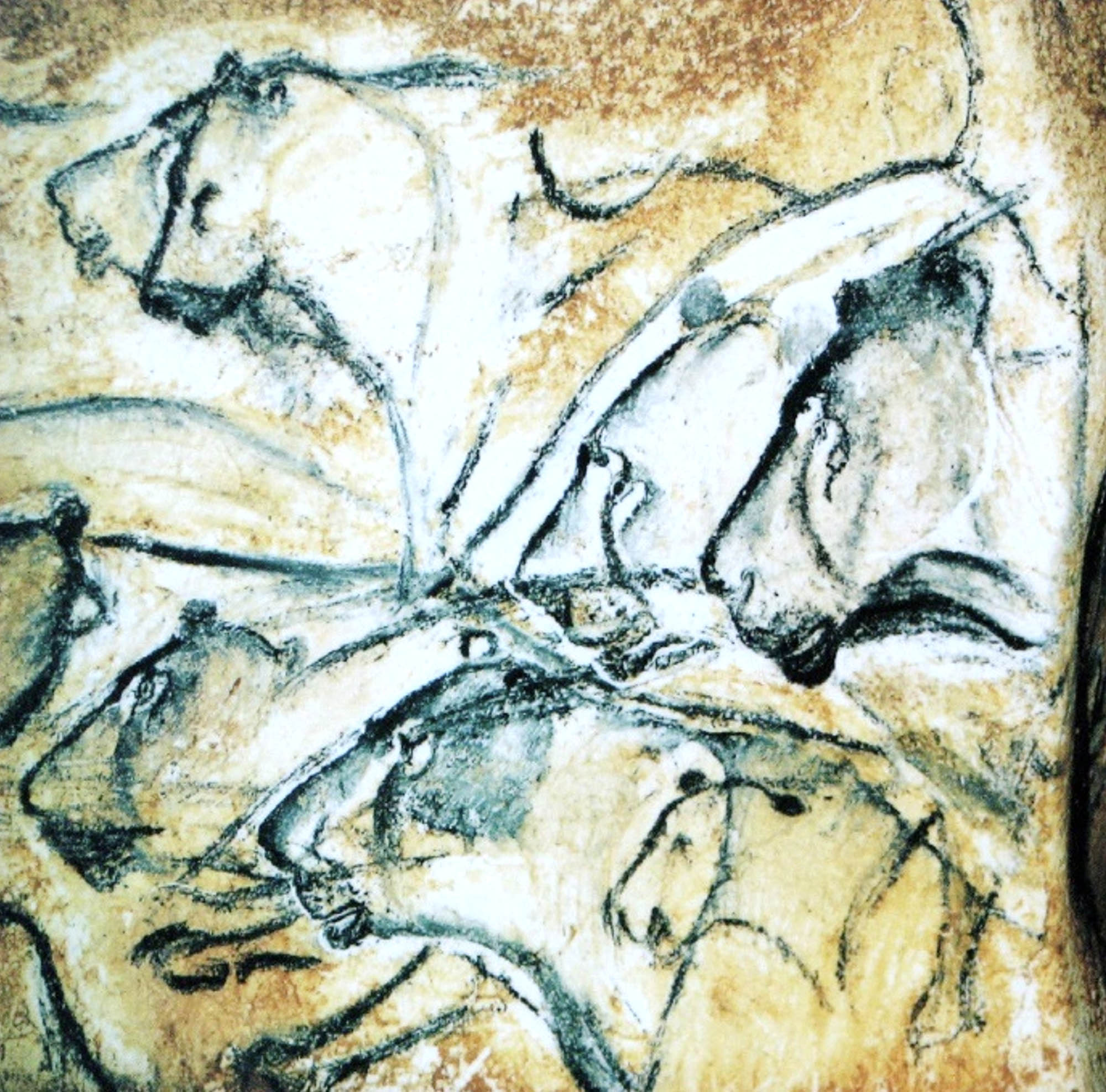 Close-up of a panel from a cave painting featuring lions.