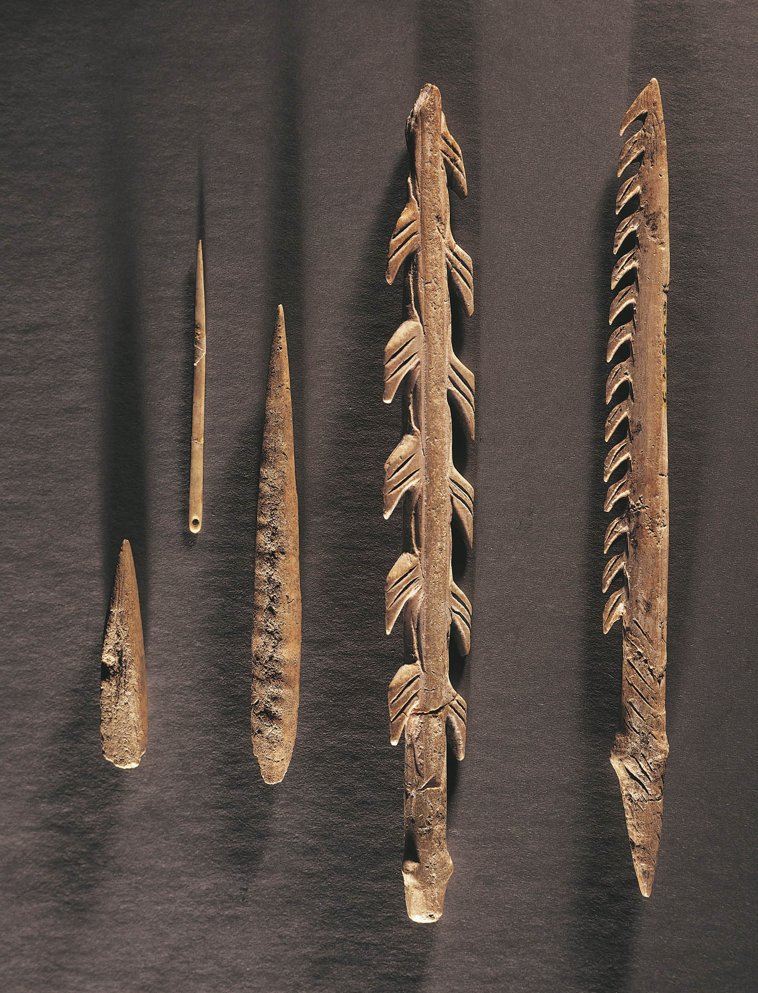 Close-up of three figurines: Venus of Willendorf, Venus of Hohle Fels, and Venus of Dolní Věstonice.