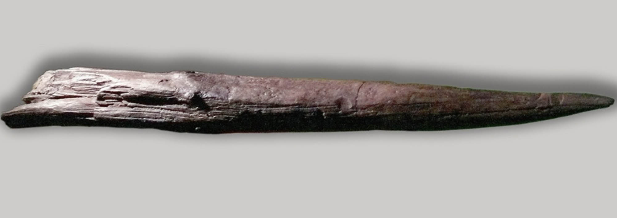 Close-up of the head of a wooden spear.