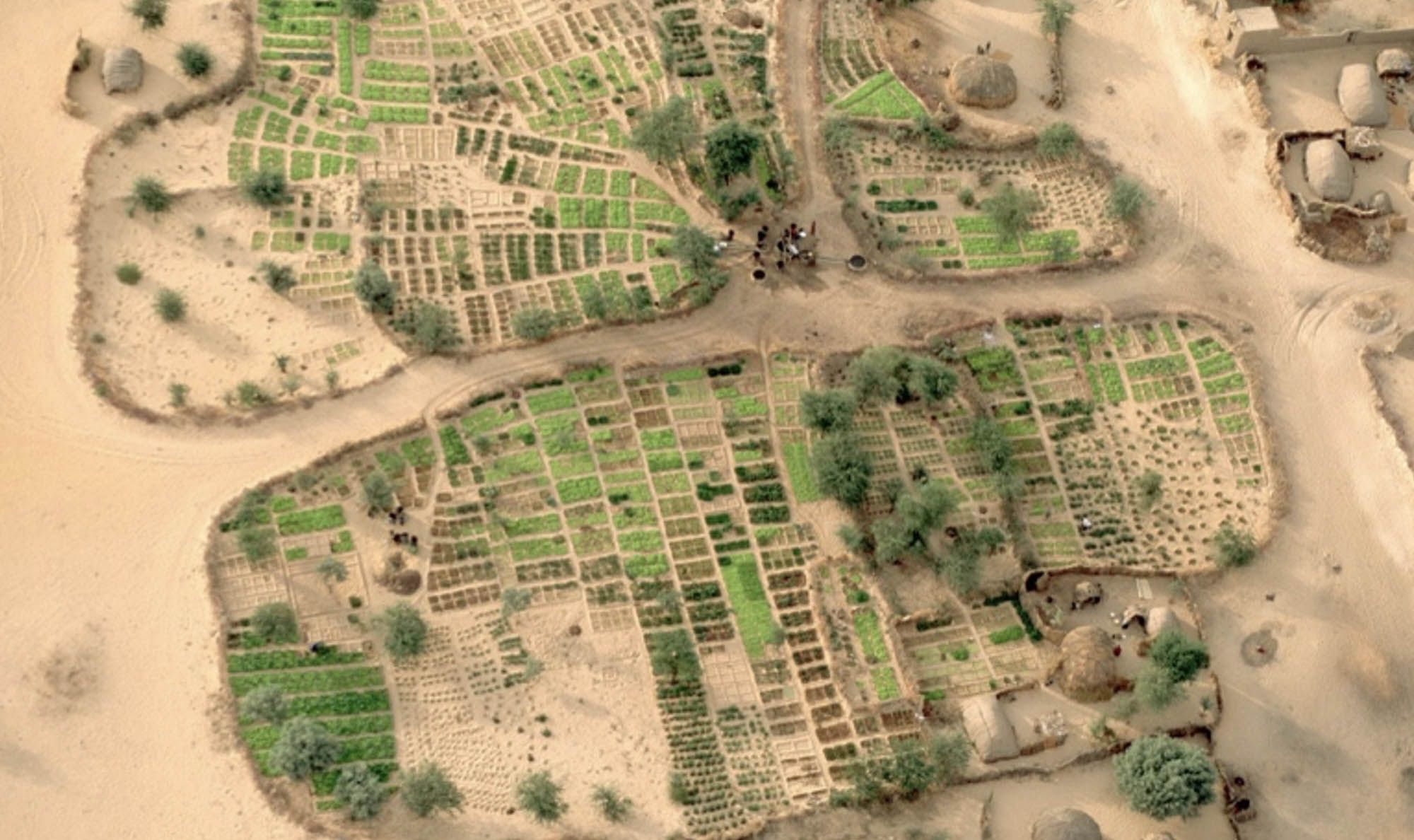 Aerial view of agricultural fields in Africa.