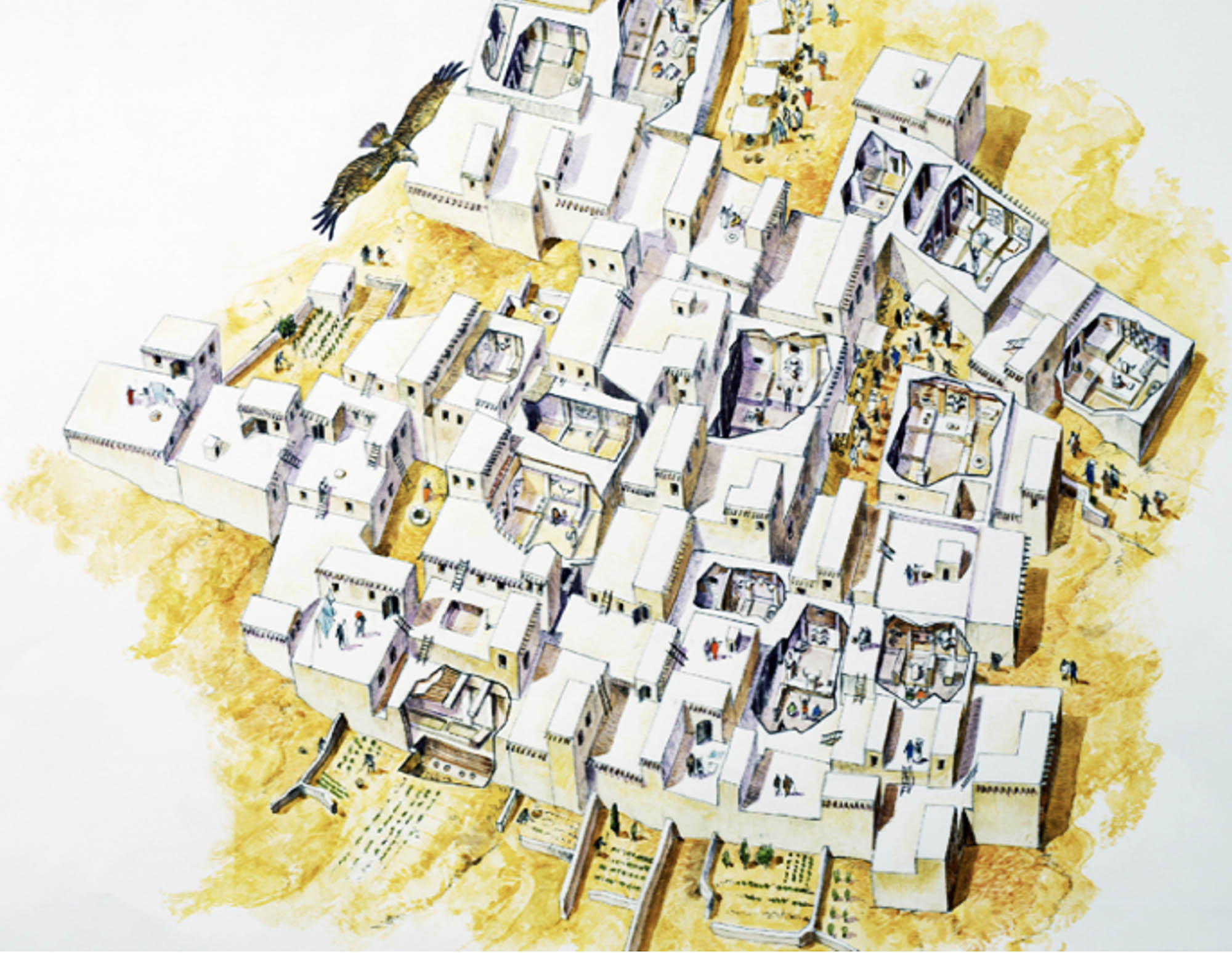 Illustrated overhead view of an ancient settlement of closely packed houses.