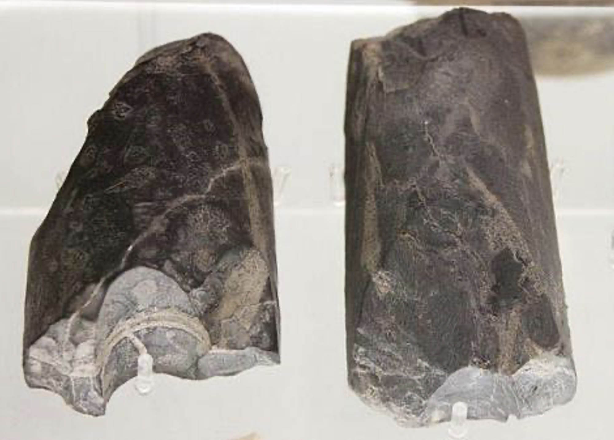 Two stone tools with sharpened edges.