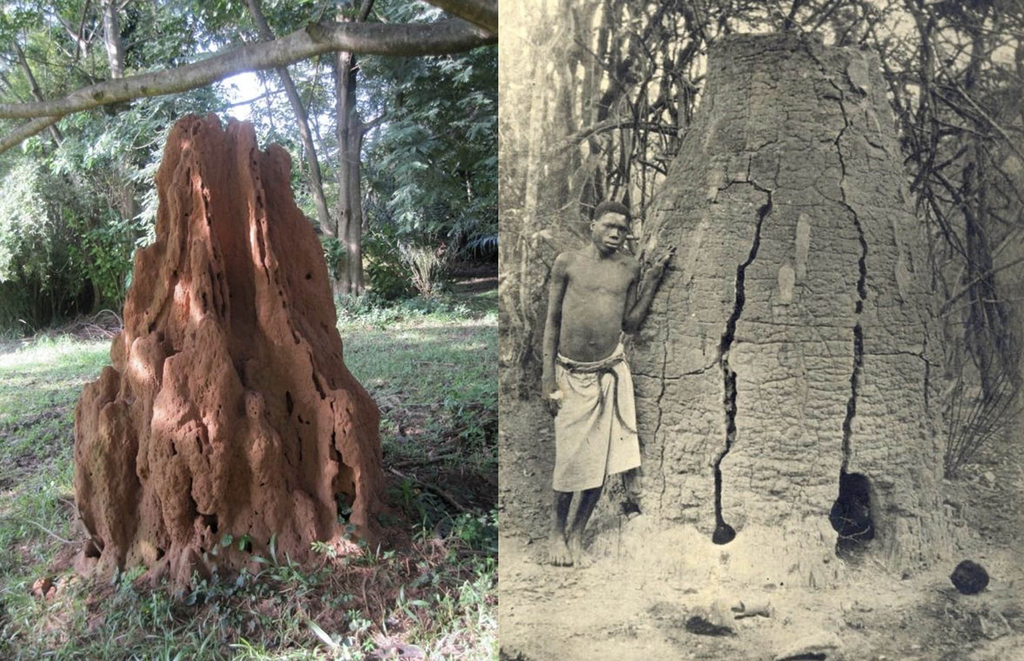 Two panel image on the left a termite mound, a tall earthen mound and on the right a similarly shaped iron smelting furnace with a man standing beside.