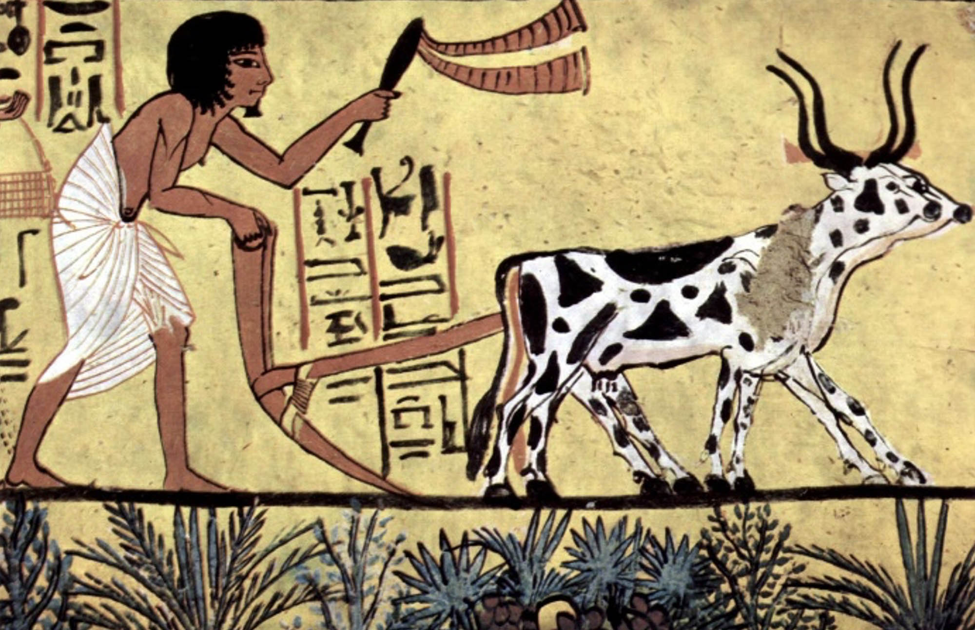 Painting of a person using a domesticated animal to farm and work on the land. The animal is pulling a machine and the person is following behind the machine.