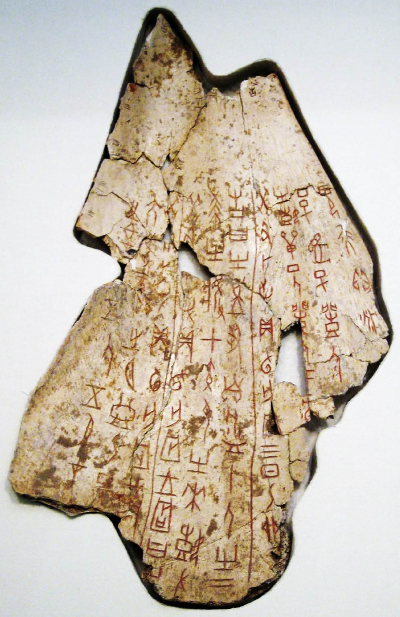 A slab of bone features drawn-on symbols.