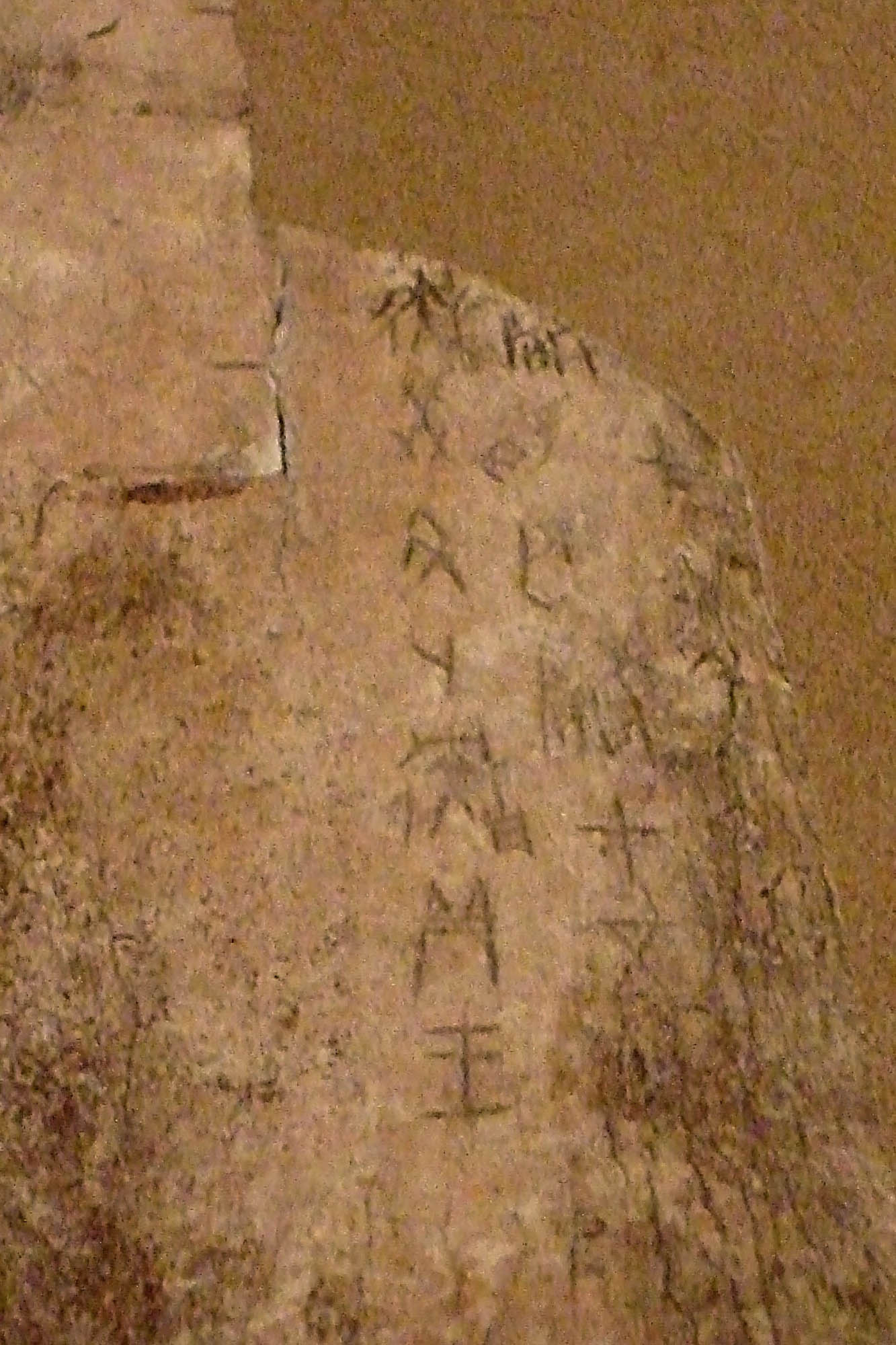 A photo of a slab of bone inscribed with language symbols.
