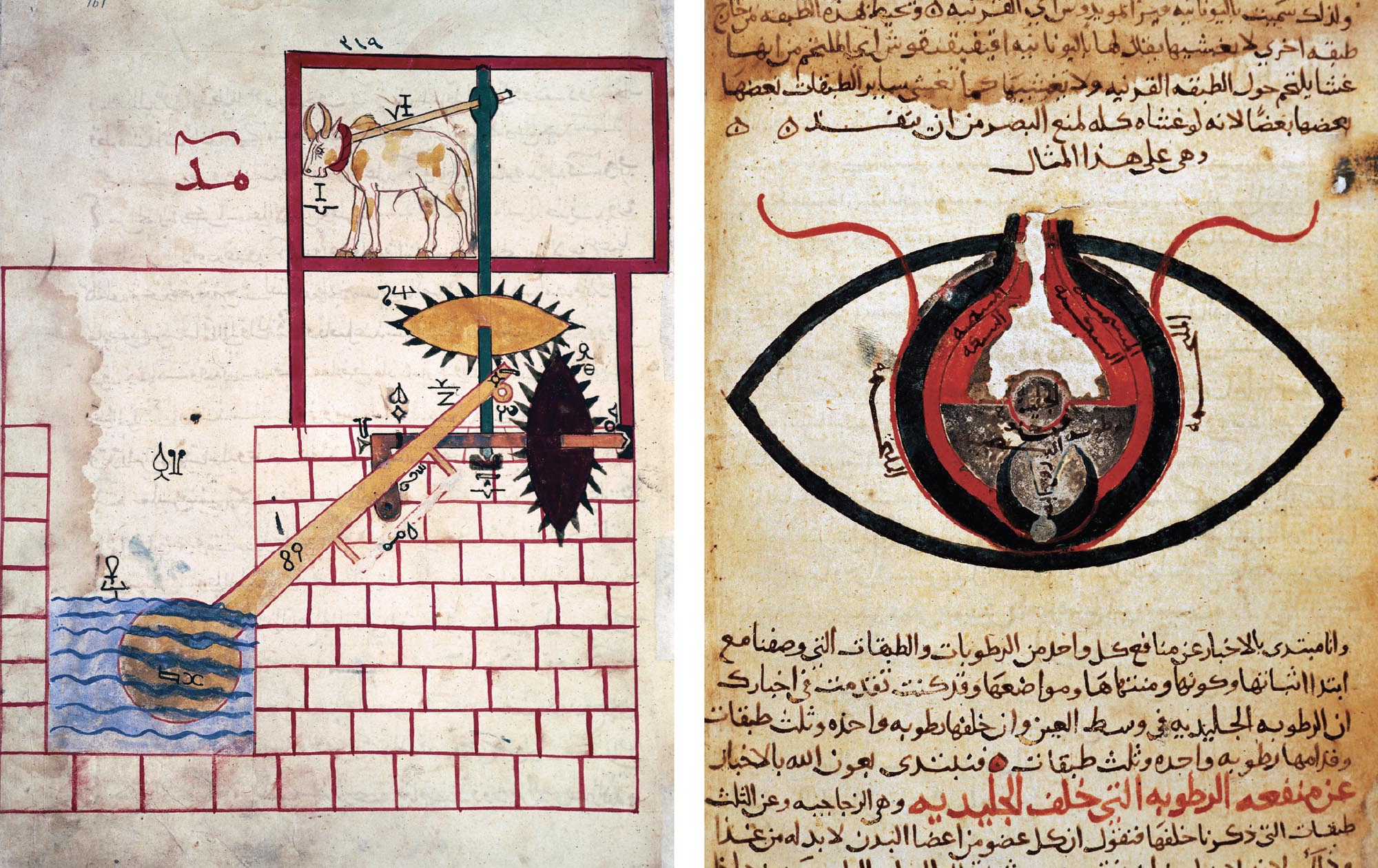 Diagram depicting water flowing through a pipe system. Arabic writing and symbols provide instructions for the waterway (left). Detailed black and red drawing of the structures of the human eye. Arabic writing fills the background (right).