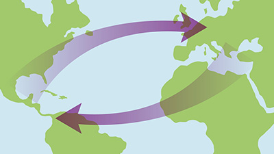 Map showing the continents of North America, South America, Europe, and Africa, with arrows indicating the direction of exchange and transfer of plants, animals, diseases, and technologies.