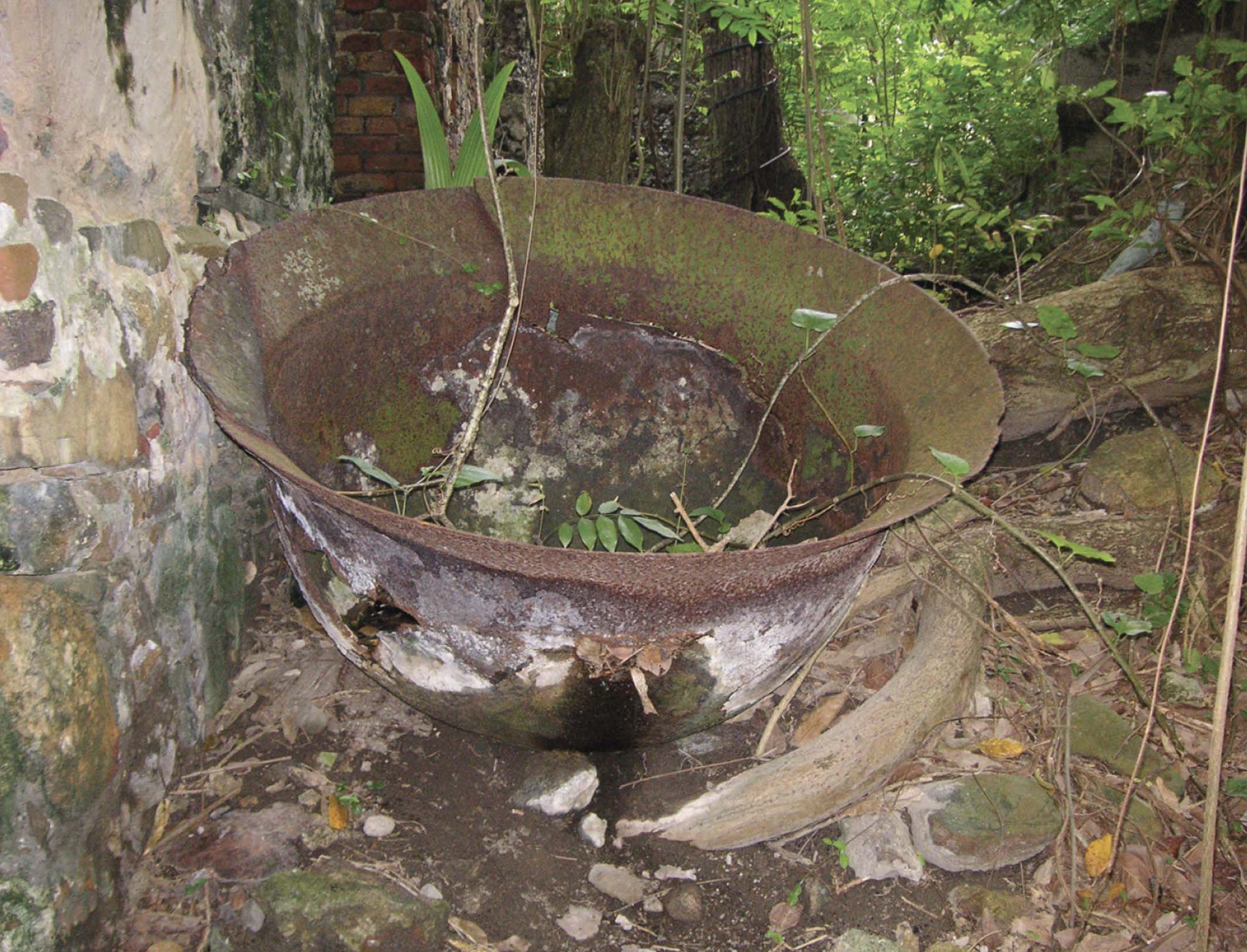 A photo of a large, round, copper bowl. It is weathered with age, with moss growing on the pot and a green vine sitting inside it.