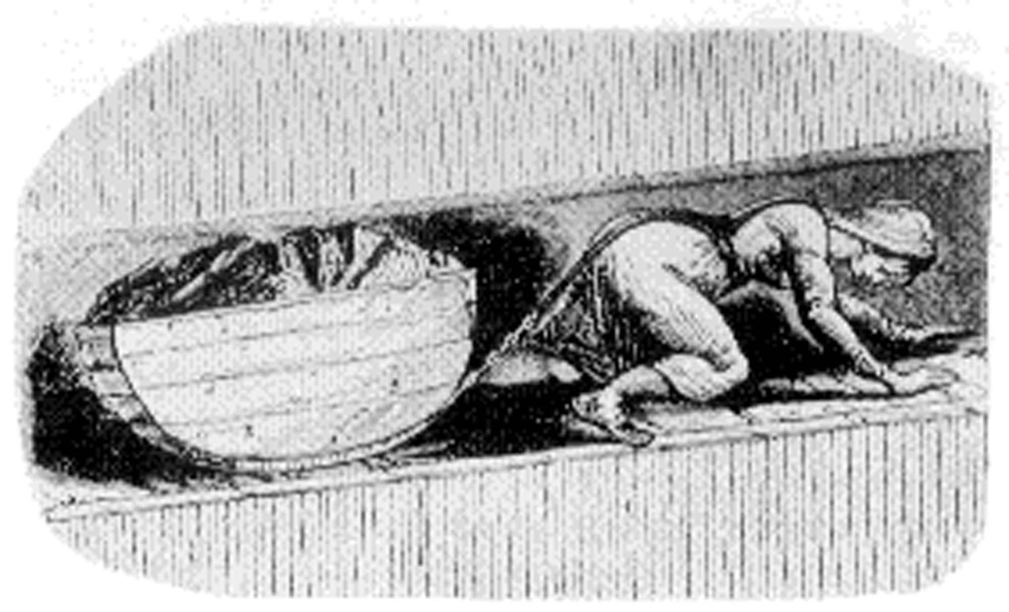 Proletariats Rise Rise of the Proletariat, Workers, and Unions | OER Project