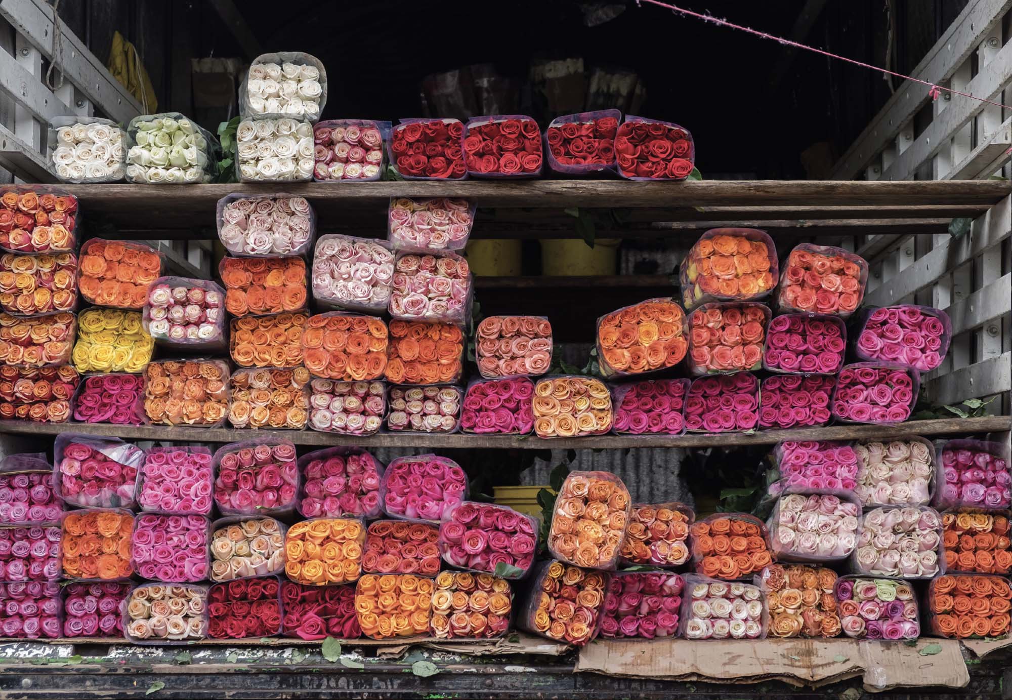 The back of a transport truck carrying stacked bunches of colorful roses.