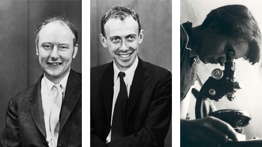 Crick, Watson, and Franklin